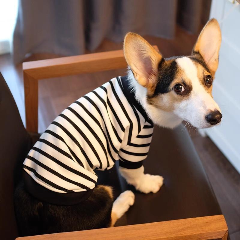 Pet Corgi Dog Clothes Spring and Autumn Clothing Anti-hair Loss Teddy Bichon Shiba Inu Small Dog Two-legged Striped Sweater Winter