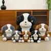 Cute Bianmu dog plush toy doll girl sleeping on the bed doll warm heart accompany children birthday gift
