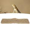 Reptiles Pet Hammock Washable Lizard Pad Playing Resting with Suction Cup for Glass Tank