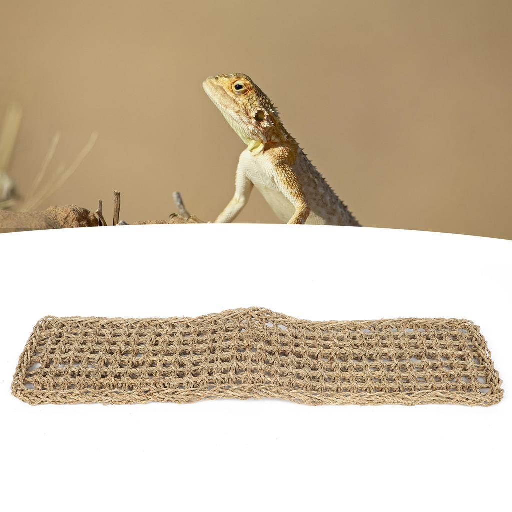 Reptiles Pet Hammock Washable Lizard Pad Playing Resting with Suction Cup for Glass Tank