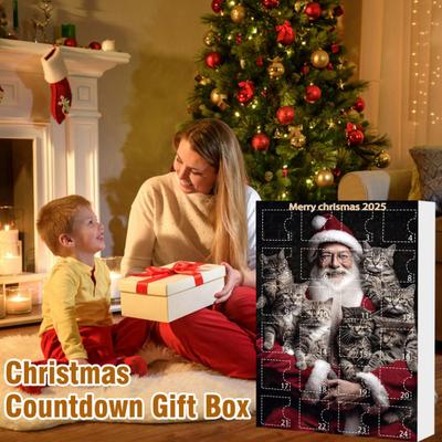 Christmas Cat Advent Calendar Acrylic 2D Cartoon Cat Hanging Decorations 24 Days 2025 Xmas Countdown Calendar Gift for Cat Lovers Holiday Decoration