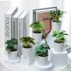 INS Style Small Artificial Grass Plant Ornaments for Indoor Decoration and Flower Display