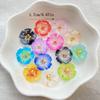 10pcs 3D Shiny Colorful Acrylic Flower Flat-Back Single-Hole , Suitable for Scrapbook DIY Jewelry Craft