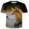 Children's Fun Animal 3D Printed T-shirt Summer Harajuku Short Sleeve T-shirt Round Neck Top Starry Sky Cat Universe Pattern T-shirt