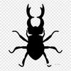 Beetle Drawing Iron on Heat Transfer Printing Vinyl Patches Sticker for Clothes DIY Appliques Washable Patches