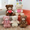 Valentine's Day Plush Teddy Bear with Heart - Cute Stuffed Animal Gift for Girlfriend