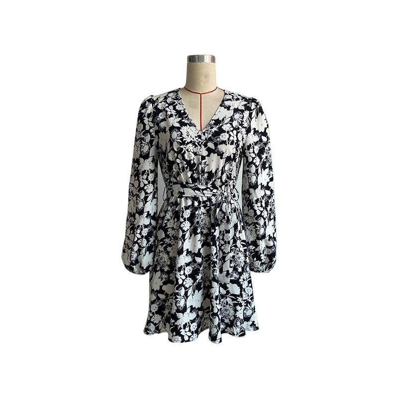 Women's Spring Autumn V Neck Long Sleeve Lace Up Printed High Waist A Line Dress