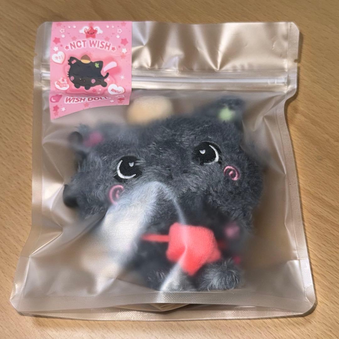[USED] Same-day shipping NCT WISHDOLL MD plush toy Riku