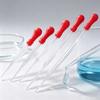 9cm/10cm/12cm/15cm/20cm Rubber Head Glass Pipette Glass Dropper Dropper Transfer Medicine Dropper