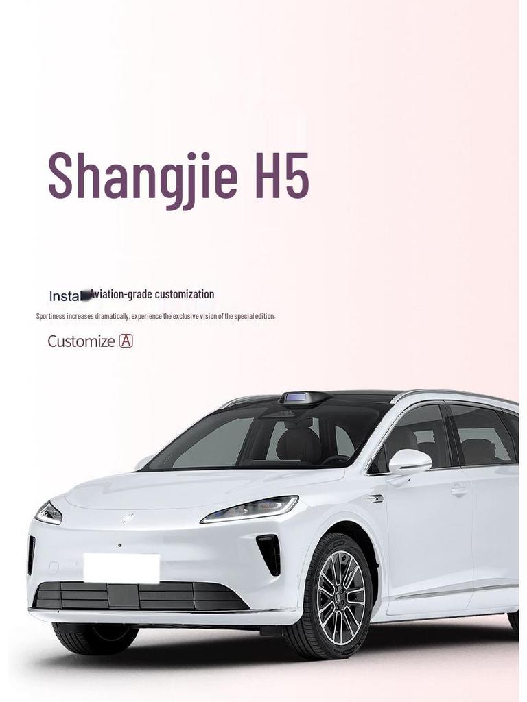 Shangjie H5 Trunk Mat: Car Interior Decoration & Modification Accessory