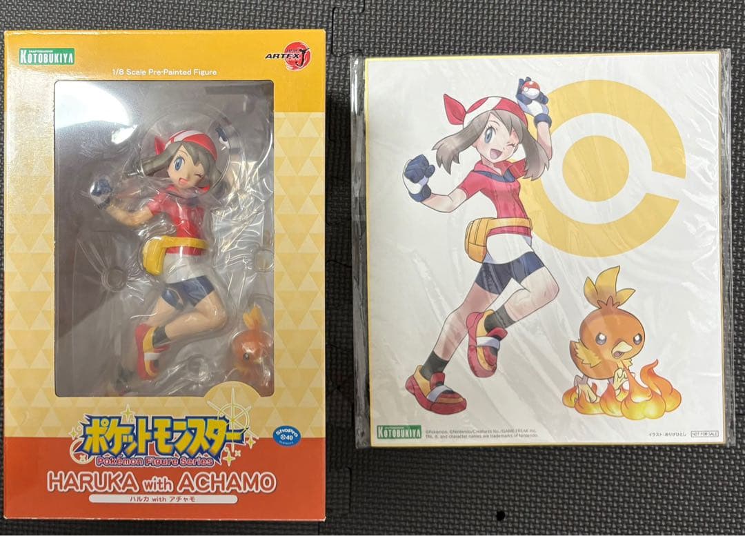 

[USED] Limited edition Pokémon series Haruka with Torchic