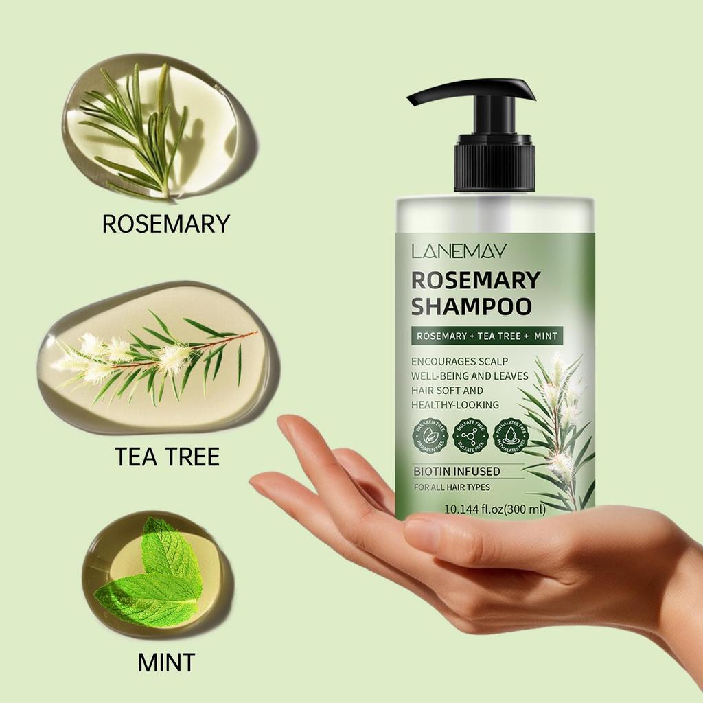 Rosemary Shampoo-Deeply Clean and Moisturize Hair Dirt & Oil-Improves Hair Texture-Prevents Breakage & Split Ends,300ml