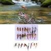 Fly Baits Dry Baits Fly Lures Dry Wet Baits Nymphs Dragonflies Streamers for Surfcasting