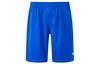 Loose Fit Shorts Men's Blue 21500201-400