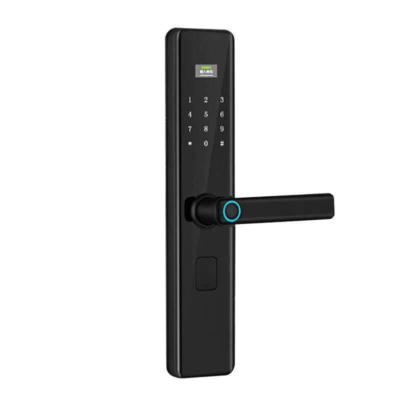 Zhongwei Shixing ZW-1601 Smart Electronic Door Lock CN plug (adapter included)