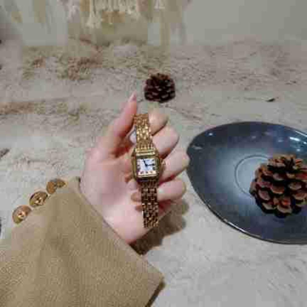 Small Square Chain Watch Women's Niche Roman Scale Literary Light Luxury Quartz Watch