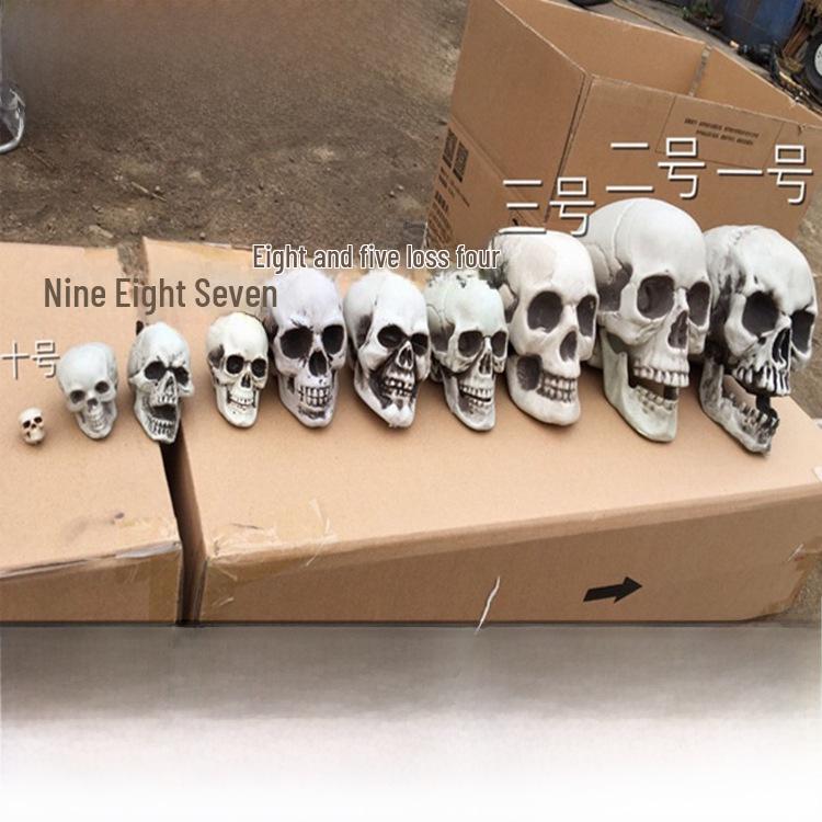 

Shuomei Human Skull Model for Halloween Decor & Haunted House Ornaments Type 10