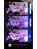 Cross-Border Reef Tank Coral Light: Deep Sea Spectrum, UV for Fluorescence, High-Brightness Lens, Smart Upgrade