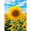 Sonnenblumenlächeln (Kunststoff) Puzzle Blumenlandschaft 1000 Teile, beliebtes koreanisches Puzzle