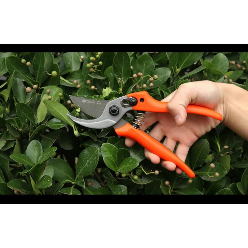 1 Pcs Gardens Scissors Pruning Shear Branches Fruit Branch Pruning Rough Branches Gardening Pruning Branches