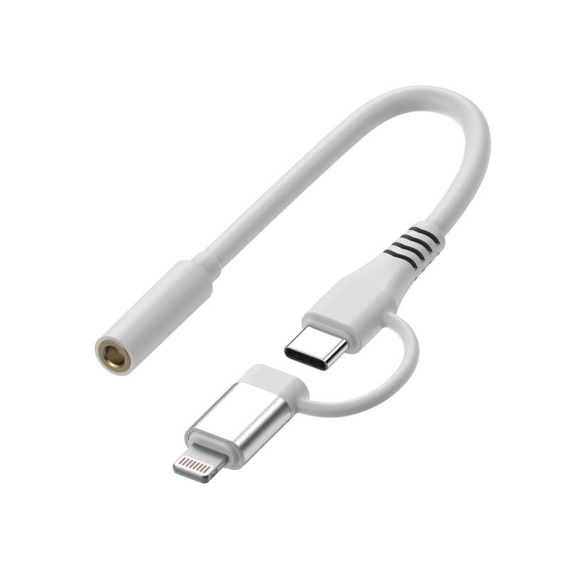 2-in-1 Type-C/Lightning To 3.5mm Earphone Adapter