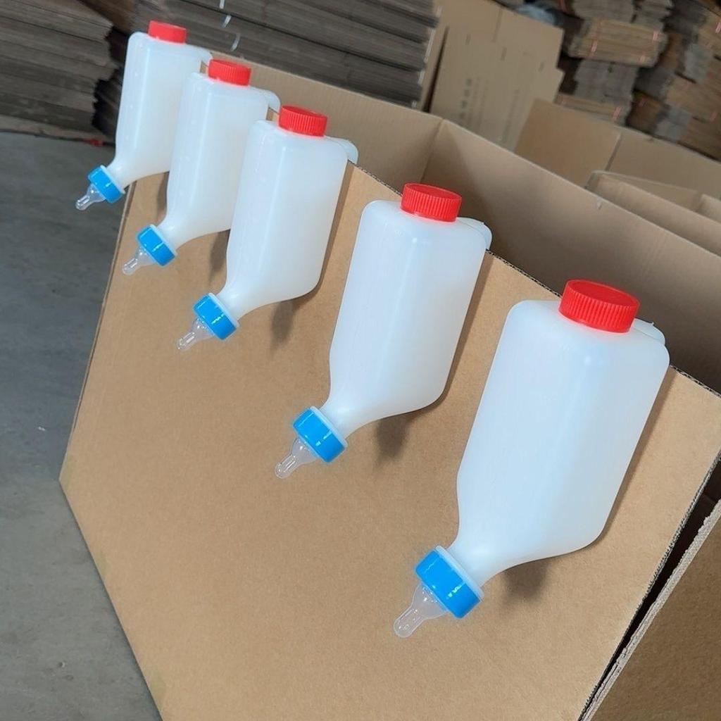 Lamb, Pig, and Animal Milk Hanging Buckets