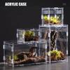Acrylic Transparent Reptile Terrarium Breeding Box Turtle Cage Nano Arboreal Tarantula Enclosure Dearded Dragon Reptiles Habitat