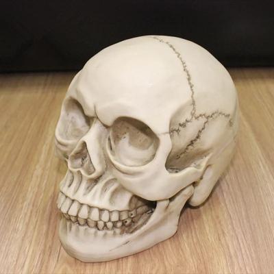 1:1 Żywiczna Rzeźba Czaszki Edukacyjna i Dedykowana do Malowania Model Medyczny Realistyczna Dekoracja Domu Model Czaszki 3D 19*15*14CM
