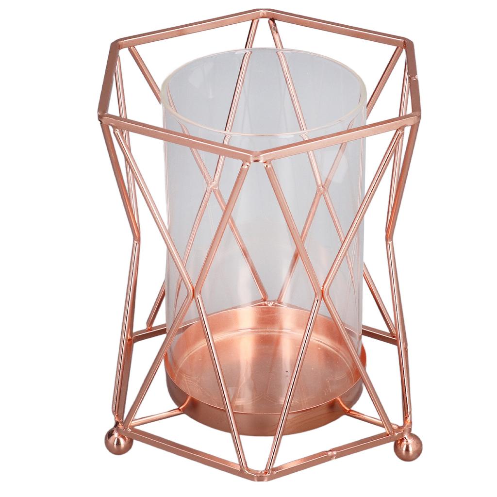 Plant Vase with Wrought Iron Flower Stand Transparent Glass Flower Pot Hydroponic Vase for Living