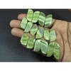 Natural Green Serpentine Matche Pair Fancy Cabochon Loose Gemstone 8Pair Lot C-3349