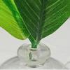 Betta Fish Leaf Pad Suction Cup Leaf Hammock Resting Bed Safe Environment Betta Spawning Bed for Aquariums Landscape