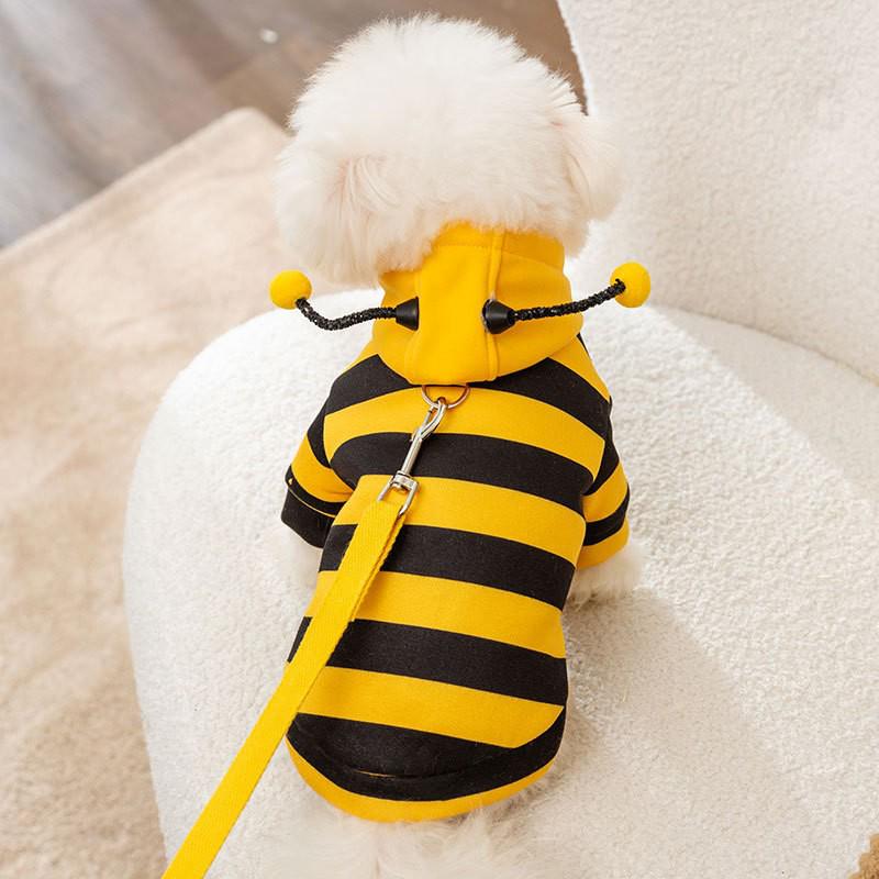 Leashable Bee Pet Sweatshirt for Cats: Cozy Autumn/Winter Fleece for Ragdoll & Blue Cats, Two-Legged Design.