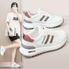D553K Dad Shoes 2025 Summer New Ins Korean Version Mesh Female Breathable Female Student Casual Sports Shoes Female