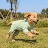 Thin Dog Sun Protection Clothes Breathable Mesh Dog Cooling Jumpsuit Cooling Vest  Travel