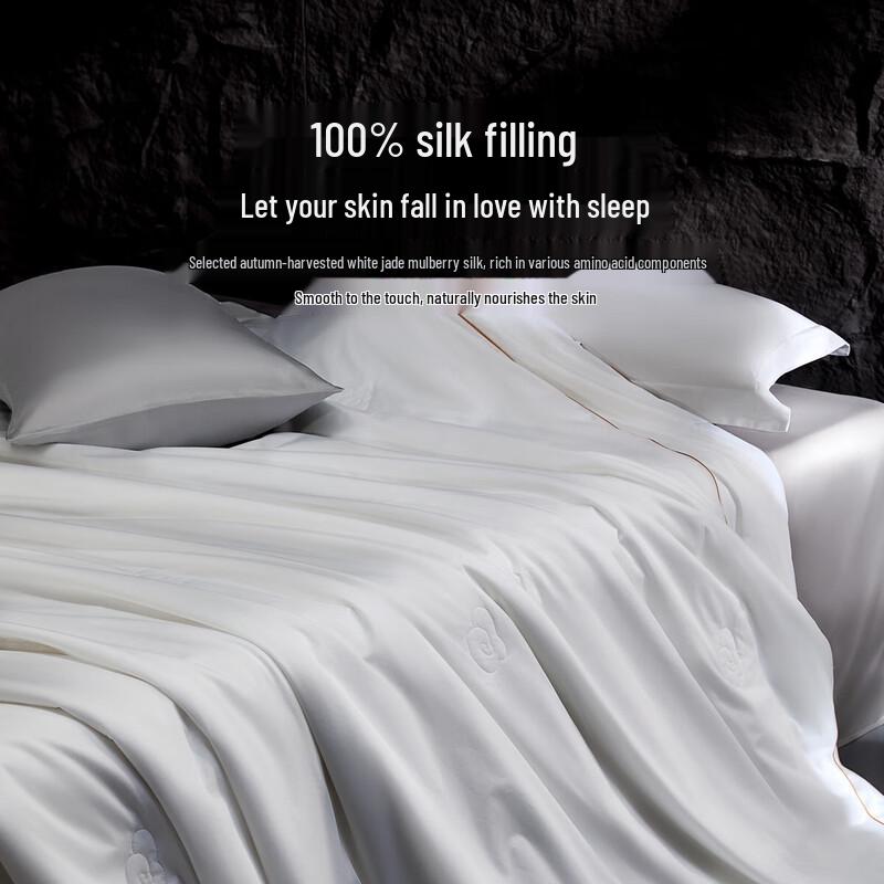 

Mercury Home Textiles All-Season Mulberry Silk Quilt