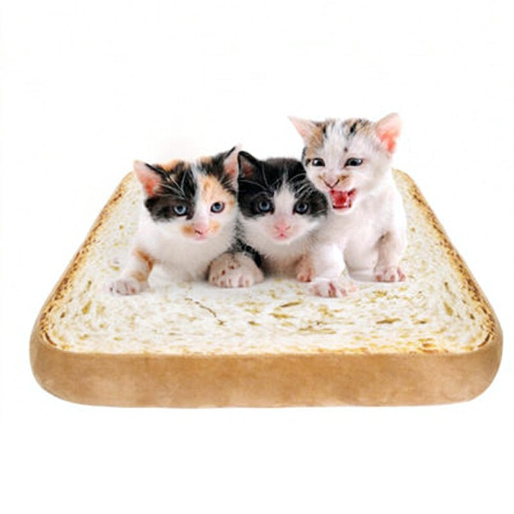 toast cat bed