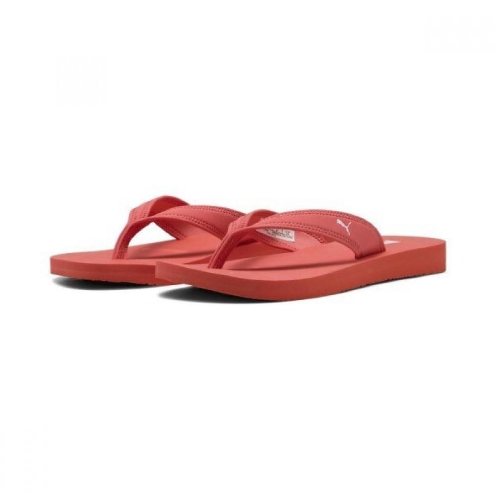 

Puma Women S Flip Flop 399464 12 39946412/230