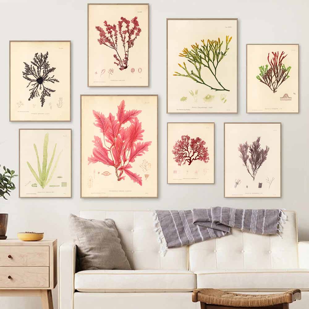 Nordic Retro Art Plant Evolution Popular Science Demonstration Canvas Painting Living Room Corridor Poster Home Decoration Mural No Frame