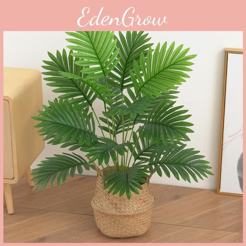 Lutescens Dypsis Greenery For Interior Decor And Garden Photography Props