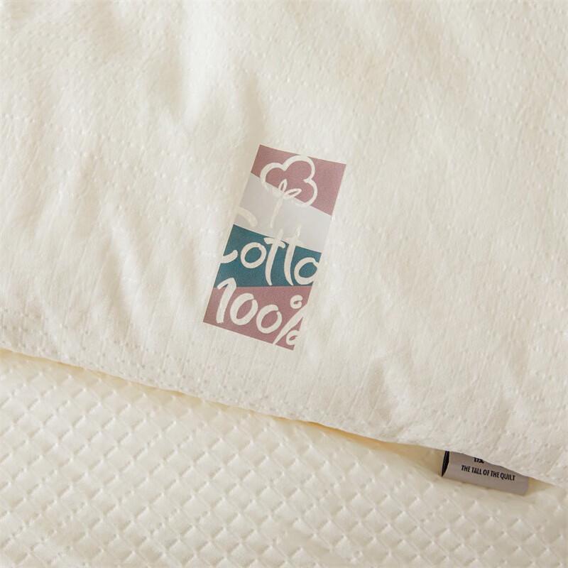 Southern Life Class A Silkworm Protein Jacquard Winter Quilt