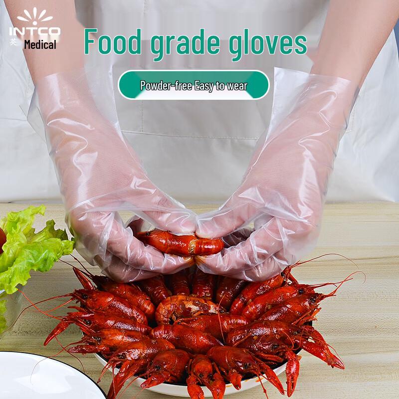 INTCO Disposable Gloves