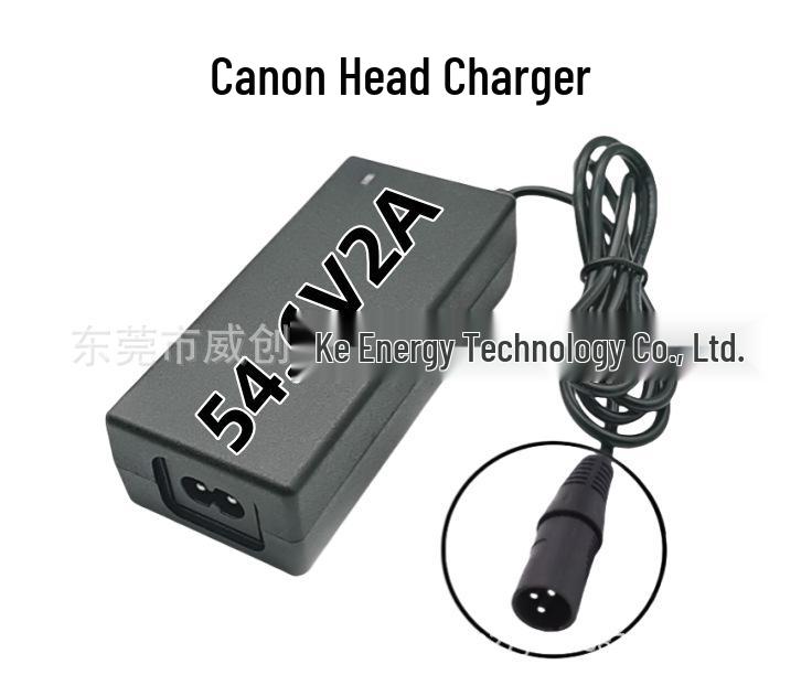 48V 18650 Lithium Battery Pack for E-Bike with BMS + Charger