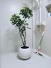 Spherical Cement Flower Pot for Ficus, Orchids, and Green Plants - Ideal for Home, Living Room, Balcony, or Outdoor Use.