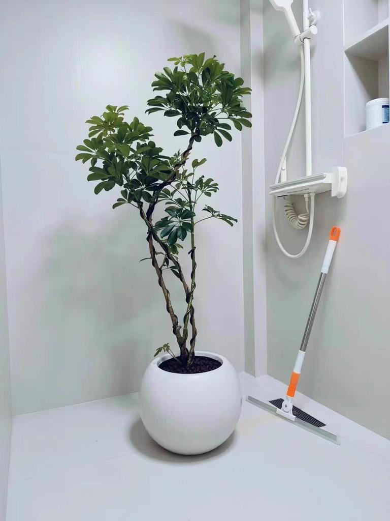 Spherical Cement Flower Pot for Ficus, Orchids, and Green Plants - Ideal for Home, Living Room, Balcony, or Outdoor Use.