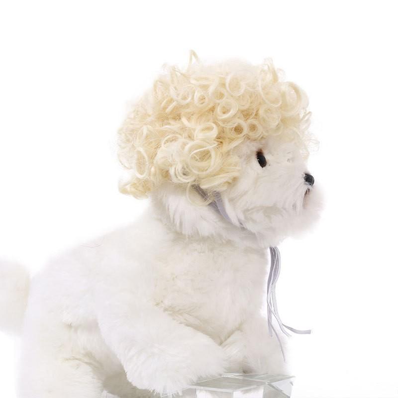 Adorable Black Color Pet Wig For Dogs And Cats With Funky Afro Style For Halloween Festivities