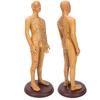 50cm / 19.7in Brass Color Acupuncture Body Model Clear Meridians Acupuncture Model