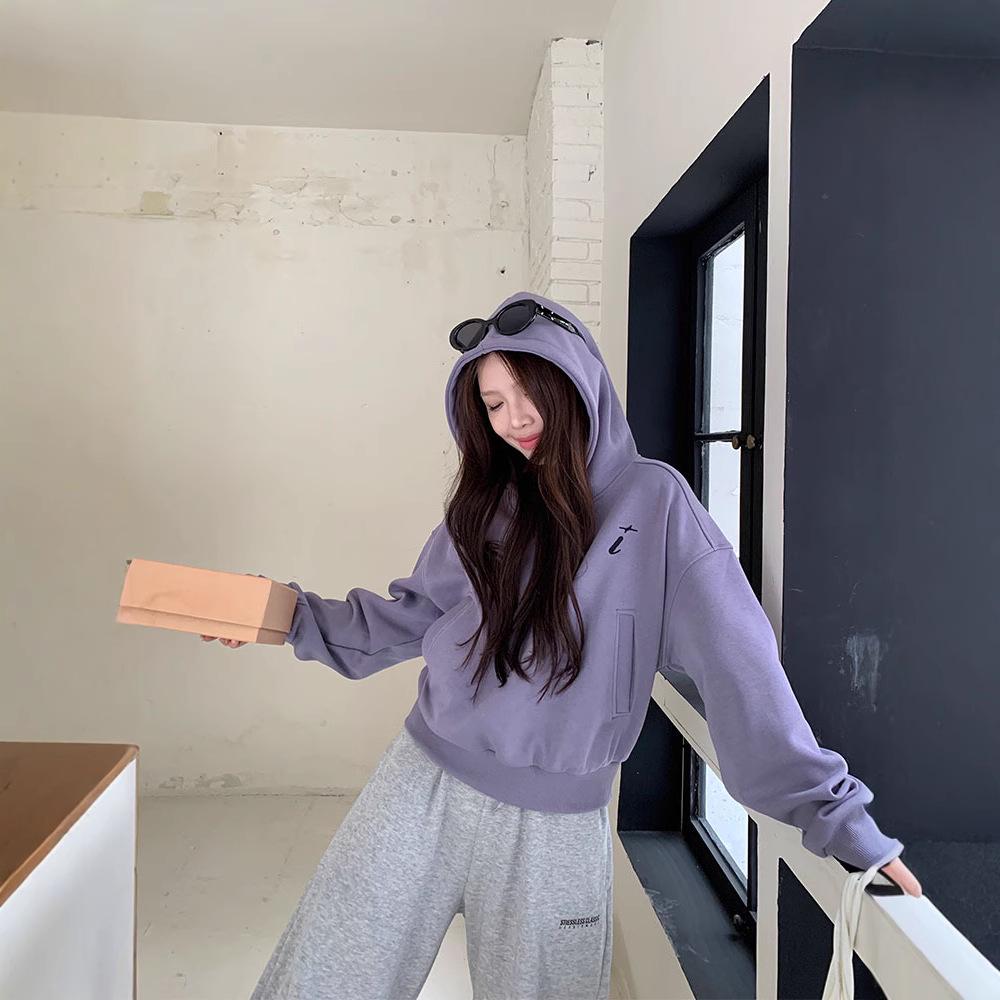 Women's Purple Hooded Sweatshirt - Thick, Warm, Loose, Versatile, Spring/Autumn 2025 Style