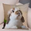 Sofa Car Home Decor Cute Rabbit Cushion Cover Bedroom Living Room Pillowcase Pet Animal Pillowcase