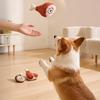 Quietschende Hundespielzeuge für kleine und mittlere Hunde Plüsch Bissfestes Kauspielzeug mit Geräusch Interaktives Haustierspielzeug zur Zahnpflege und gegen Langeweile