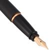 Aurora Fountain Pen EF Extra Fine Nib Epsilon Satin Rose Gold Black Officially Imported B10-PN Dual-Use,